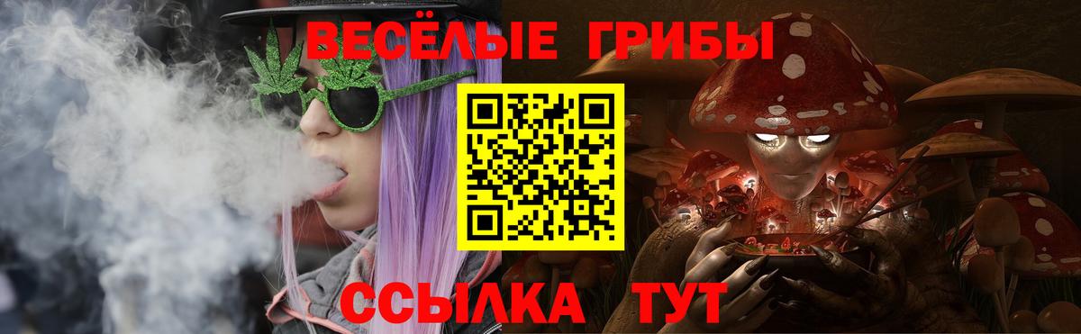 Бошки Шишки Кубинка