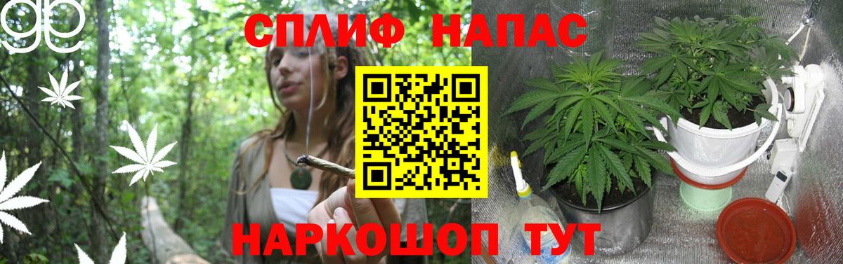 МАРИХУАНА White Widow Кубинка